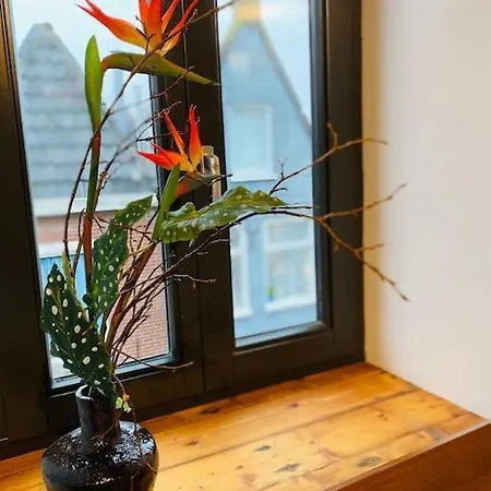 City-beach Nearby Amsterdam *